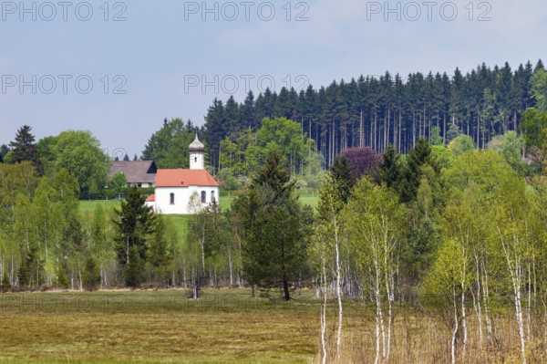 Sankt Johannisrain church with moorland in spring, Penzberg, Upper Bavaria, Germany
