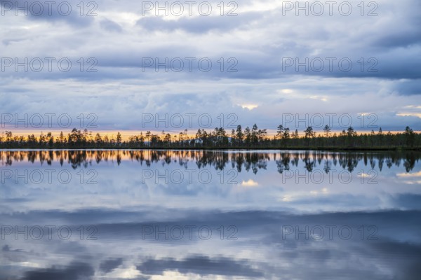 Calm lake reflecting clouds and trees in evening light, near Rovaniemi, Lapplamnd, Finnmark
