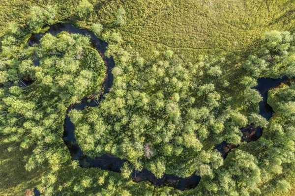 Sodankylä, Lapland, Finland, aerial view of a curvy river surrounded by trees and lush greenery, aerial view, drone shot