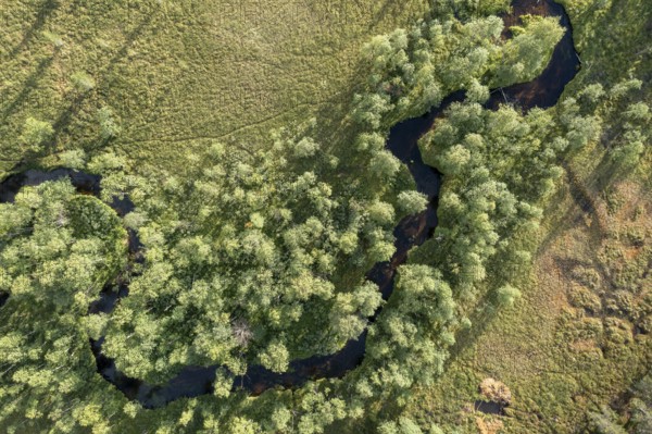Vuotso, Lapland, Finland, aerial view of a winding river snaking through green land and vegetation, aerial view, drone shot