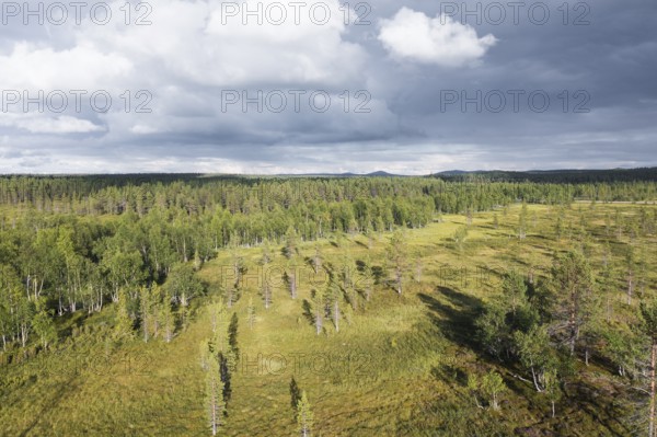 Sodankylä, Lapland, Finland, cloud-covered sky over a vast forest and meadow landscape with light and shadow effects, aerial photo, drone shot