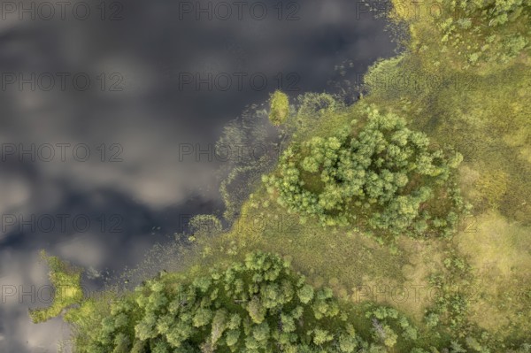 Sodankylä, Lapland, Finland, aerial view of dense vegetation and calm water with cloud shadows, aerial view, drone shot