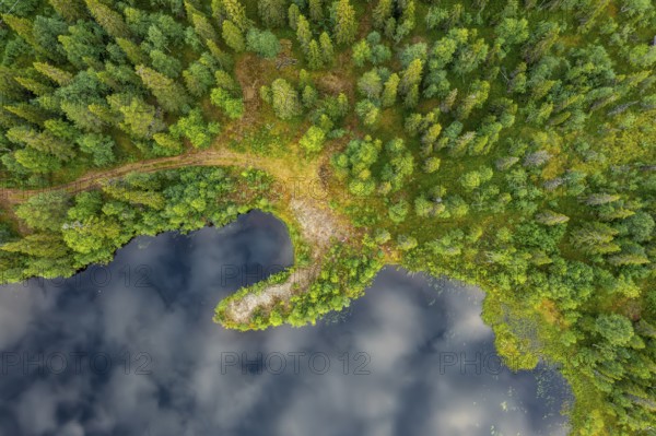 Sodankylä, Lapland, Finland, aerial view of a forest with adjacent lake, aerial view, drone shot