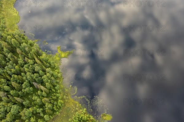 Sodankylä, Lapland, Finland, view from above of shore with trees bordering a cloudy lake, aerial view, drone shot