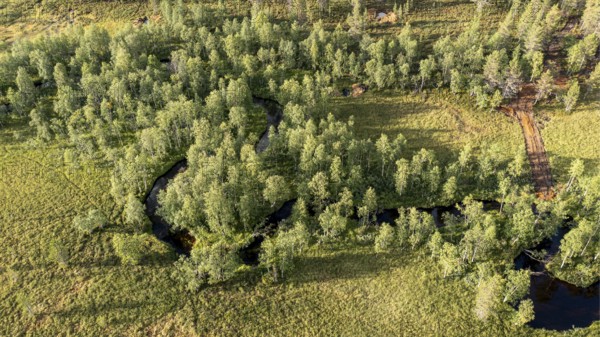 Sodankylä, Lapland, Finland, overview of a curving river surrounded by thick trees, aerial view, drone view