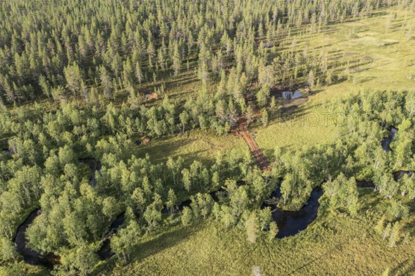 Sodankylä, Lapland, Finland, view from above of a forest with a river and meadows, characterized by thick greenery, aerial view, drone shot