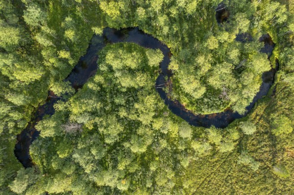 Sodankylä, Lapland, Finland, Curvy river snakes through thick vegetation, seen from the air, aerial view, drone shot