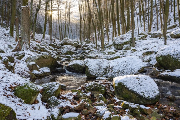 Gumpe with snow and moss-covered rocks in wintery Ilse Valley, Heinrich-Heine-Weg, Harz National Park, Saxony-Anhalt, Germany