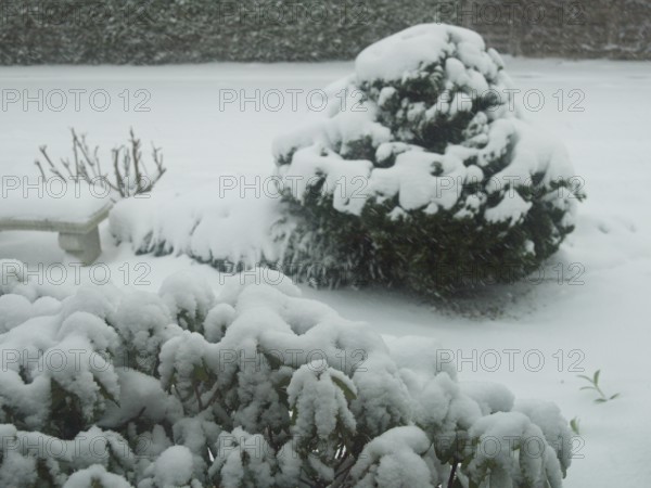 Snow crystals, thick masses of snow outside the window, local garden, snow-covered winter landscape, Moormerland, East Frisia, Germany