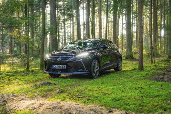 Car in a sun-drenched forest surrounded by trees and green moss, MG4 electric car, Deer e-Carsharing, Calw, Germany