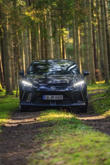 A dark car is parked frontally on a forest path, surrounded by tall trees, MG4 electric car, deer e-car sharing, Calw, Germany