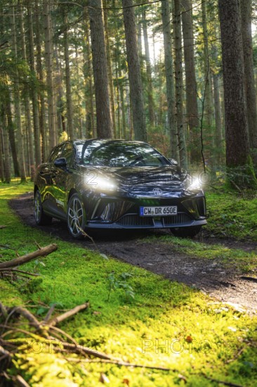 Car parked on a forest path surrounded by tall trees and sunlight on green moss, MG4 electric car, deer e-car sharing, Calw, Germany
