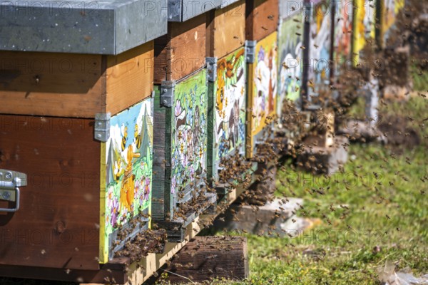 Beehive in a meadow, Italy