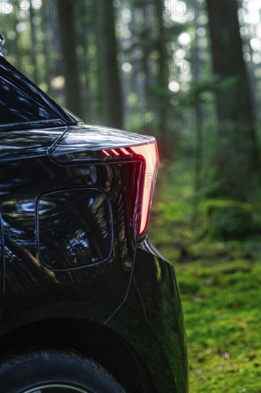 Rear view of a car in a forest clearing with sunbeams, MG4 electric car, Deer e-Carsharing, Calw, Germany