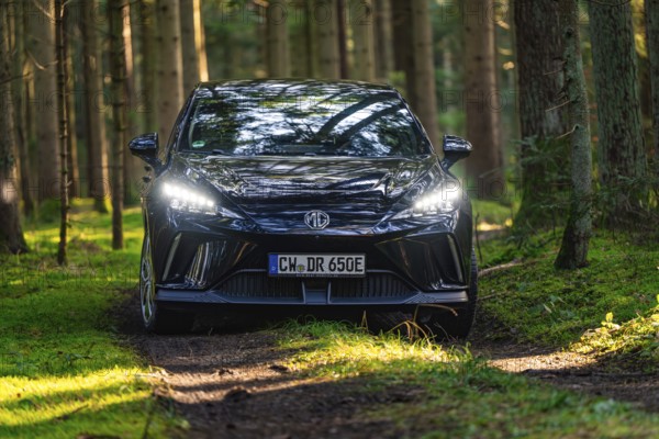 Black car on a forest road with headlights on, surrounded by trees, MG4 electric car, deer e-car sharing, Calw, Germany