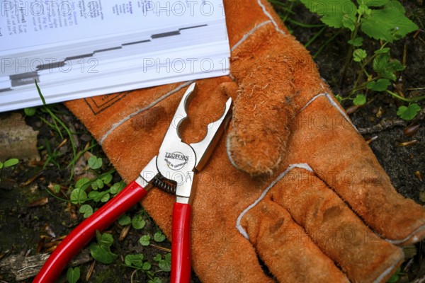 Münsterland, North Rhine-Westphalia, Germany, tools for ringing owls Safety gloves and pliers are on a book ready for use, tools and orange glove on the ground with plants and a document