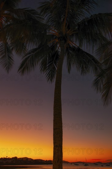 Evening sun set at Cairns Esplanade with glowing sky and palms by the bay, Cairns, Queensland, Australia