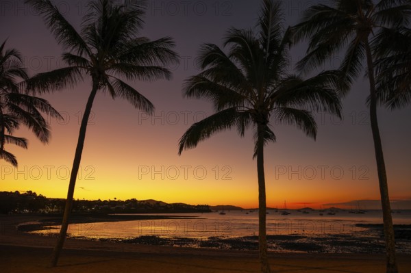 Evening sun set at Cairns Esplanade with glowing sky and palms by the bay, Cairns, Queensland, Australia