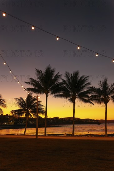 Evening sun set at Cairns Esplanade with glowing sky, palms and light chains by the bay, Cairns, Queensland, Australia