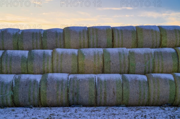 Straw bales stored in field, agriculture, Schmidener Feld, cold, winter, wintery, Schmiden near Fellbach, Baden-Württemberg, Germany