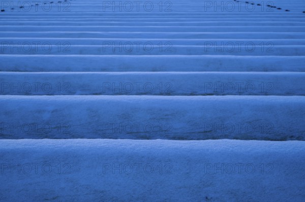White film prevents purple and green asparagus heads, controls the start of harvest, snow on asparagus, asparagus field, agriculture, Schmidener Feld, cold, winter, wintery, Schmiden near Fellbach, Baden-Württemberg, Germany