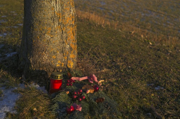 Candle, grave candle and grave decoration on tree grave, tree trunk, main cemetery, evening light, Stuttgart, Baden-Württemberg, Germany