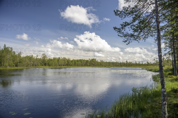 A calm lake with a wooded shore under a sky full of clouds, Hamra National Park, Hamra, Dalarna, Sweden