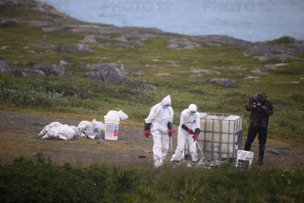 People in protective suits placing dead birds in containers in a coastal landscape, photographer nearby, kittiwakes (Rissa tridactyla) dead from avian influenza, melancholic atmosphere, Ekeroya, Vadsø, Troms og Finnmark, Norway