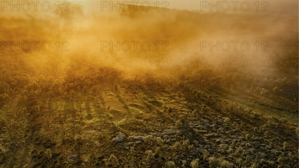 Mystical landscape in fog at sunset in golden light, large moorland along the E6 on the Arctic coast, drone view aerial view, Neiden, Troms, Norway