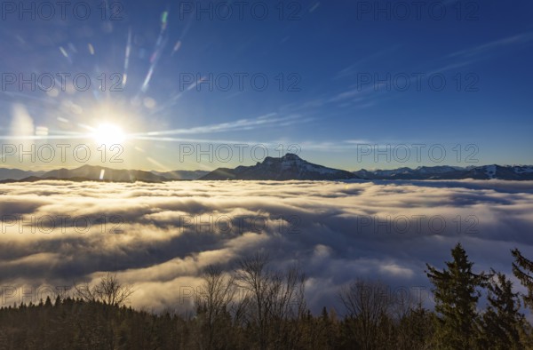 Sunrise, view from Kulmspitze, Schafberg rising out of a sea of fog, inversion weather, Osterhorn Group, Mondseeland Salzkammergut, Upper Austria, Austria