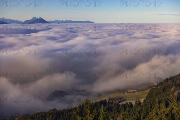 Agricultural landscape with farms rising out of a sea of fog, inversion weather, Mondseeland, Salzkammergut, Upper Austria, Austria