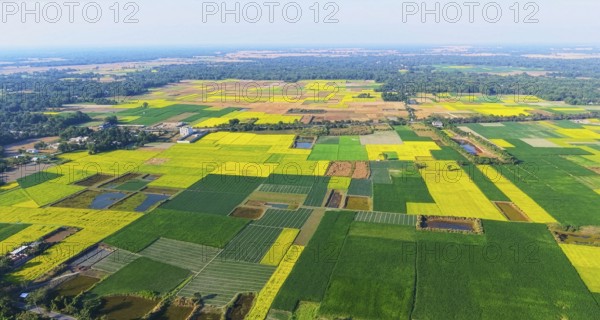 An aerial view captures an expansive patchwork of mustard fields spread across rural India during the winter cropping season. The landscape is divided into neatly defined plots, where mustard plants in full bloom blanket the fields in vivid shades of yellow, interspersed with green fallow land and freshly tilled soil. Thin earthen bunds, narrow farm roads, and irrigation channels create a geometric pattern across the countryside, revealing the careful planning of traditional agriculture
