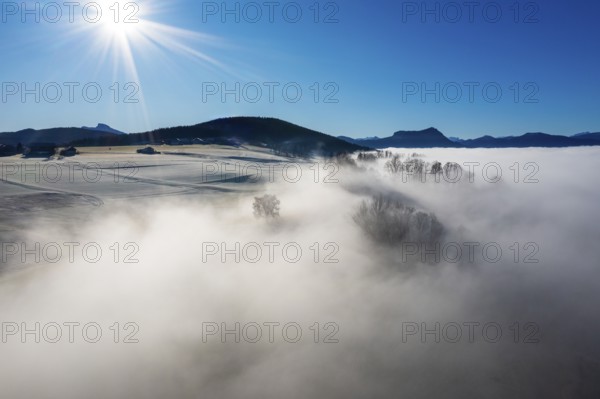 Drone view, agricultural landscape with trees in autumn morning fog at sunrise, inversion weather, Mondseeland, Salzkammergut, Upper Austria, Austria