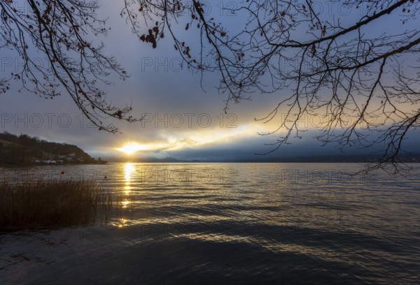Quiet morning atmosphere at sunrise on a lake with reeds in the foreground, Mondsee, Salzkammergut, Upper Austria, Austria