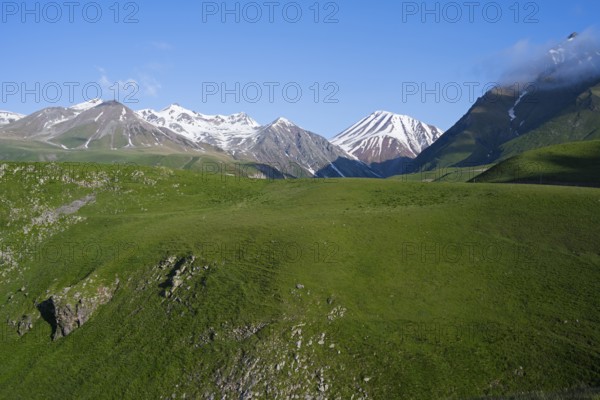 Green meadows and snow-capped mountains under clear sky, calm and majestic landscape, landscape between Kvesheti and Gudauri, Mtskheta-Mtianeti region, Georgian Military Highway, High Caucasus, Georgia