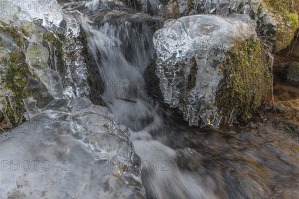 Branches are covered with ice near the river. The water flows gently and forms ice formations on the land and between the rocks. Upper Rhine, Vosges, Alsace, France