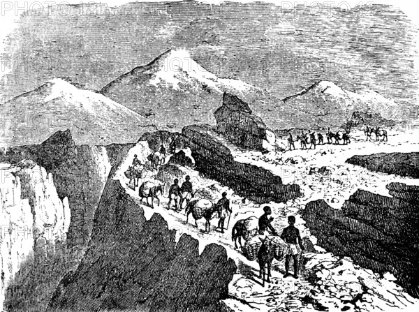 Caravan train on the Inca Strait in the Andes, mountains, snow-capped peaks, gorge, caravan, pack animals, llamas, Incas, road, transportation, loads, South America, Peru, historical illustration 19th century