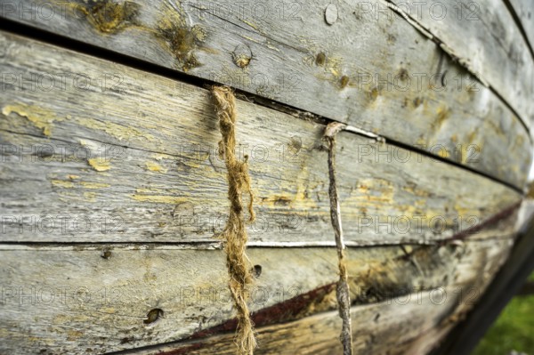 Close-up of weathered wooden planks of an old fish boat the hemp from the calfater is visible between the planks, Vestre Jacobselv, Finnmark, Norway