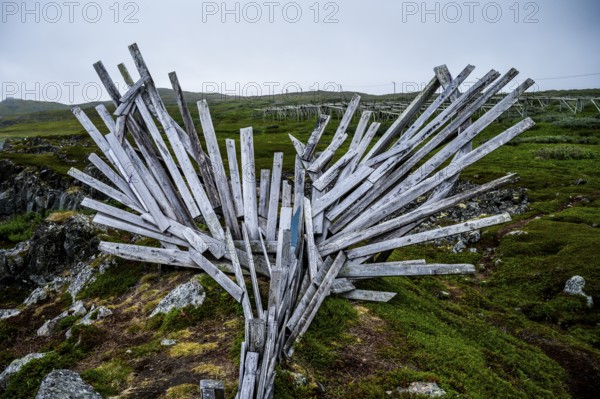 Wooden sculpture with dynamic shapes in a natural environment, Drakkar Vardø sculpture. The Drakkar-Leviathan sculpture was built in summer 2016 by the Taibola Assemble team from Archangelsk Severodvinsk, Vardø, Finnmark, Norway
