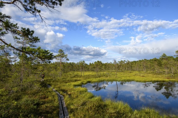 A moor lake with clear sky, clouds and wooden plank path in Hammarmoosen moor, Hällefors, Örebro län, Sweden