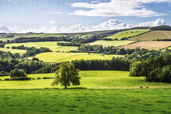 Fields and farms over Ferniehirst Castle, Oxnam, Jedburgh, Scottish Borders, Roxburghshire, Scotland, UK