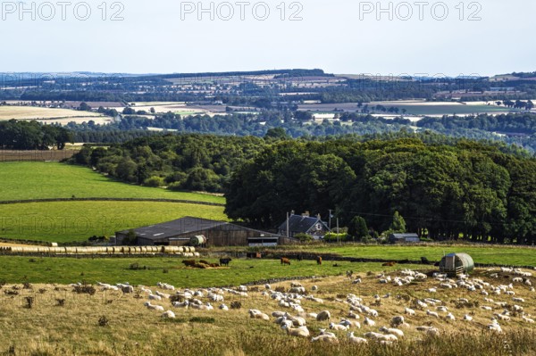 Scottish fields and farms, Southeast Scotland, UK