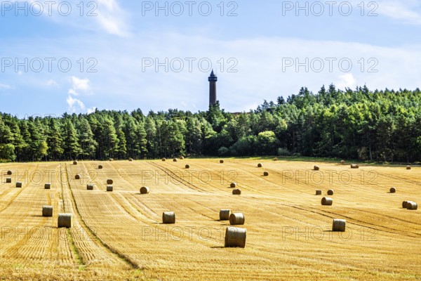 Straw bales in the Scottish fields, Southeast Scotland, UK