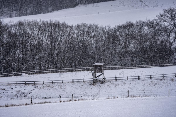 High seat, for hunters, in winter, near Oberelfringhausen in Elfringhauser Switzerland, near Hattingen, North Rhine-Westphalia, Germany
