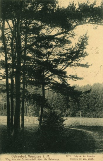 Baltic resort Arendsee, Kühlungsborn, Rostock district, Mecklenburg-Western Pomerania, until 1938 place name of the western district of Kühlungsborn, Germany, postcard, view around 1900 - 1910, historical, digital reproduction of a historical postcard, authentic, public domain, from that time, exact date unknown