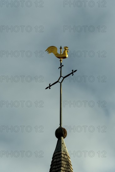 A gold rooster weather vane sits on top of a steeple with a blue sky background. The weather vane has North, South, East, and West directional indicators. Allier. Auvergne. France. Europe