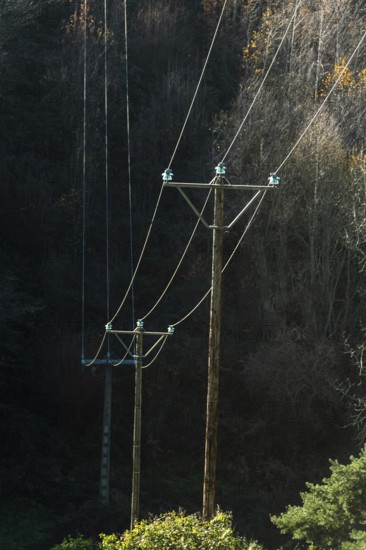 Two wooden utility poles are situated in a heavily wooded area. Overhead power lines are attached to the poles with light blue insulators. Sunlight filters through the trees. France