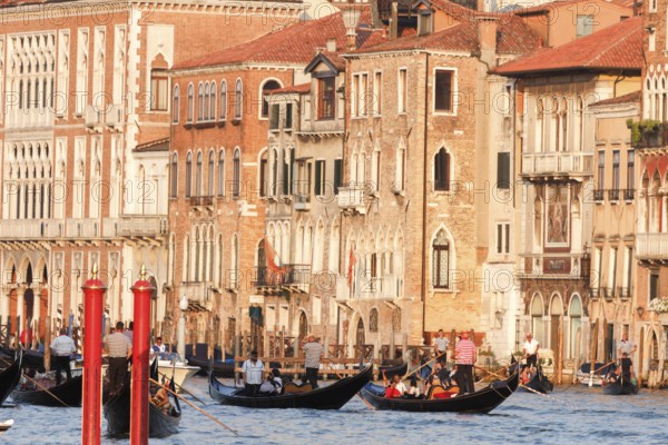 Gondolas and palaces on the Grand Canal, Venice, Veneto, Italy