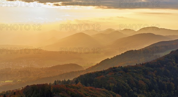 View of an autumnal forest from the Gisliflue, behind the Jurassic foothills in the light of the setting sun, Talheim, Canton, Aargau, Switzerland