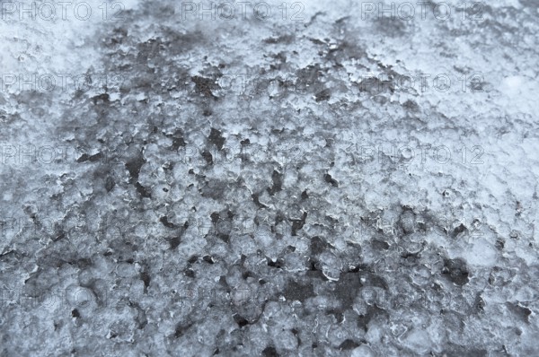 Melting snow on road